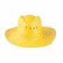 Splash Straw Hat