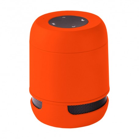 Braiss Bluetooth Speaker