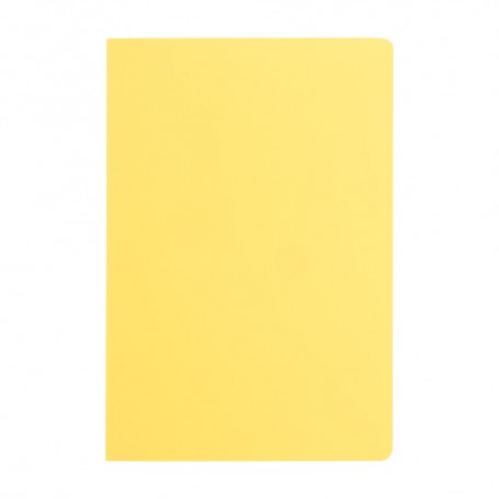 Dienel Notebook