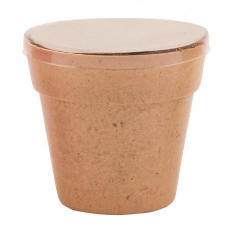 Petunia Flower Pot