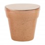 Petunia Flower Pot