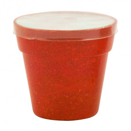 Petunia Flower Pot