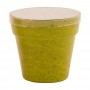 Petunia Flower Pot
