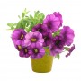 Petunia Flower Pot