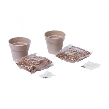 Nertel Herb Pot Set