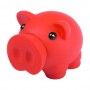 Donax Piggy Bank