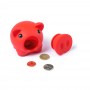 Donax Piggy Bank