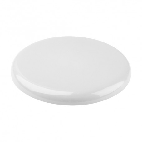 Smooth Fly Frisbee