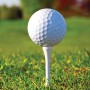 Nessa Golfball