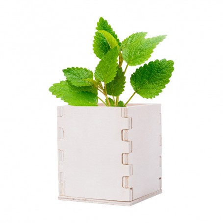 Merin mint herb pot