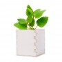 Merin mint herb pot