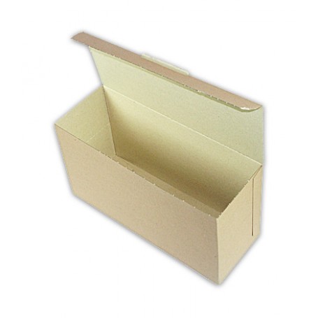 Versandkarton für 25 DVD Single-Boxen, 20 Stk.