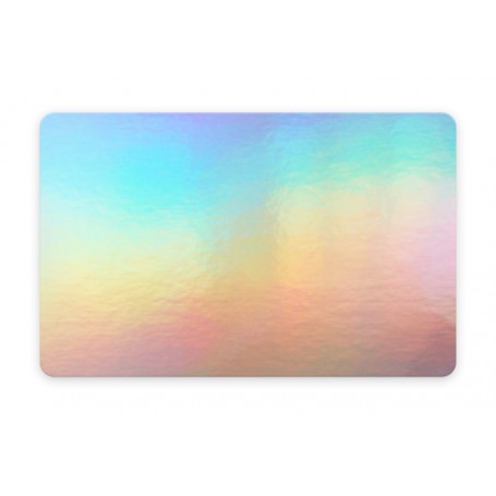 Plastikkarte, Hologramm, 0.76 mm, 100 Stk.