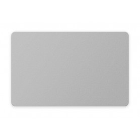 Color Cards, silver, 30mil, 100 pcs. Color Cards, silver, 30mil, 100 pcs.