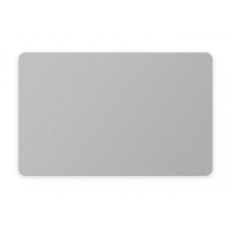 Color Cards, silver, 30mil, 100 pcs.