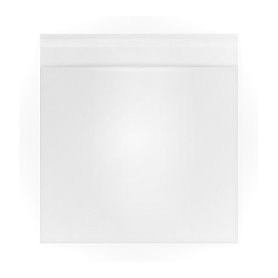 Plastikhülle für Vinyl LP, 100 Stk.